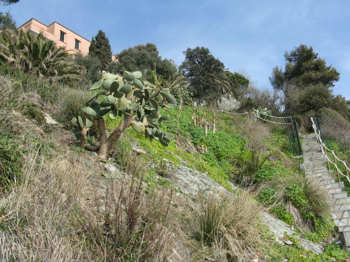 Apartamento Casa Delle Mimose Varazze Exterior foto